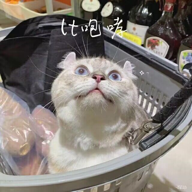 Liu's Homepage